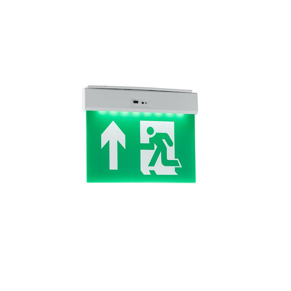 Panneau de sortie de secours à LED fin de 3 W